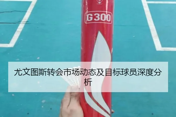 尤文图斯转会市场动态及目标球员深度分析